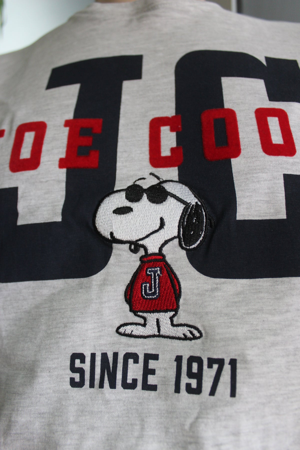 Pijama Homem Snoopy